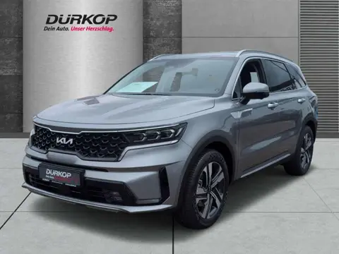 Annonce KIA SORENTO Hybride 2024 d'occasion 