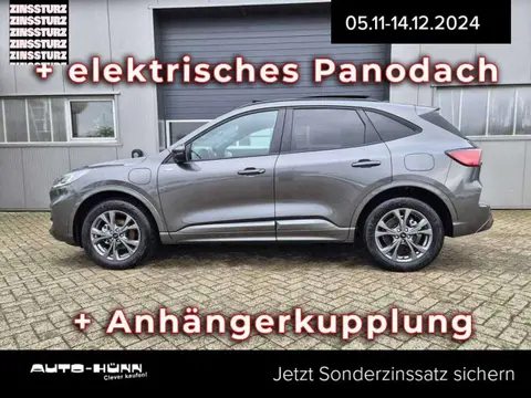 Used FORD KUGA Hybrid 2024 Ad 