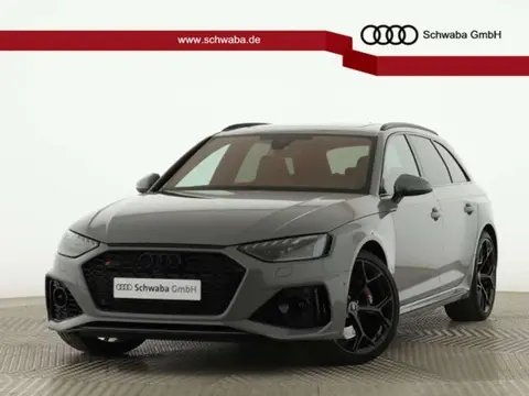 Used AUDI RS4 Petrol 2024 Ad 