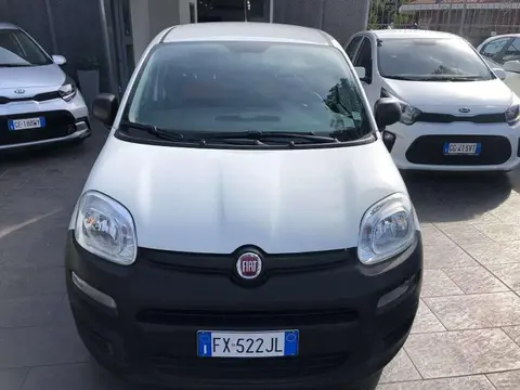 Annonce FIAT PANDA Essence 2019 d'occasion 