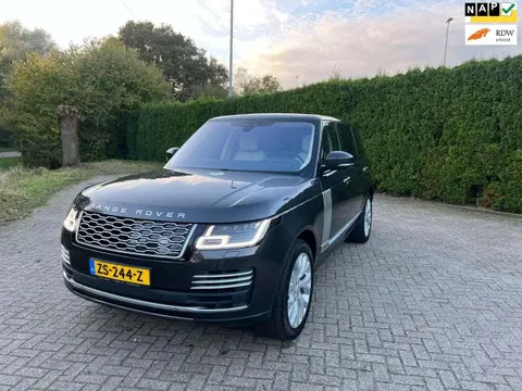 Used LAND ROVER RANGE ROVER Hybrid 2019 Ad 