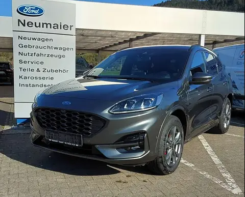 Used FORD KUGA Hybrid 2023 Ad 