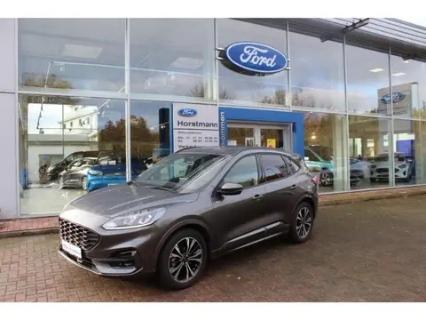 Used FORD KUGA Petrol 2023 Ad 