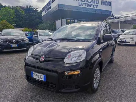 Annonce FIAT PANDA Hybride 2024 d'occasion 