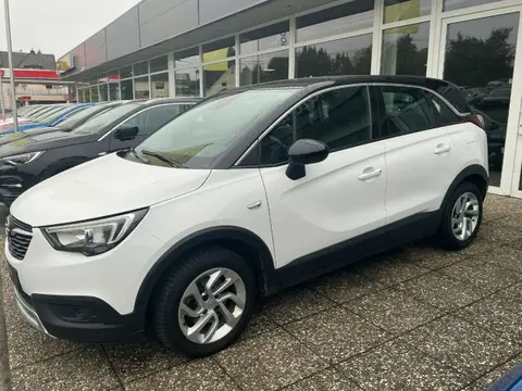 Used OPEL CROSSLAND Petrol 2019 Ad 