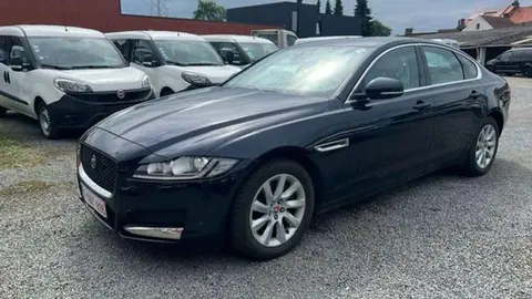 Used JAGUAR XF Diesel 2020 Ad 