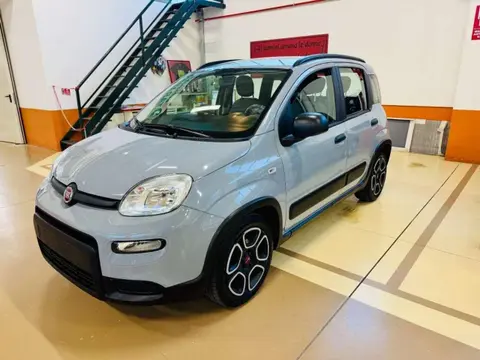 Annonce FIAT PANDA Hybride 2022 d'occasion 