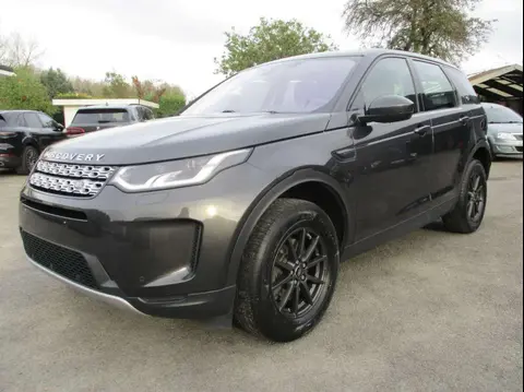 Used LAND ROVER DISCOVERY Diesel 2020 Ad 