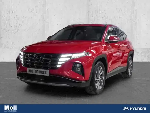 Annonce HYUNDAI TUCSON Essence 2024 d'occasion 