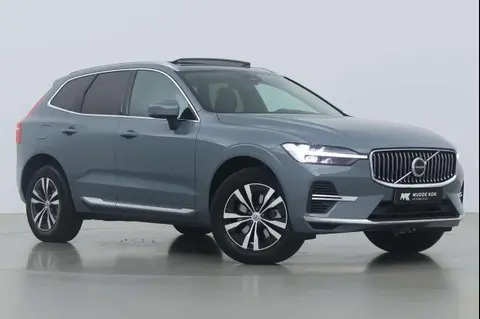 Used VOLVO XC60 Hybrid 2024 Ad 