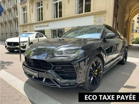 Used LAMBORGHINI URUS Petrol 2019 Ad 