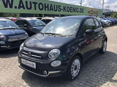 Used FIAT 500 Petrol 2023 Ad 