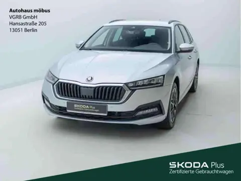 Used SKODA OCTAVIA Petrol 2023 Ad 