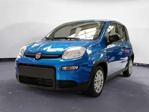 Annonce FIAT PANDA Hybride 2024 d'occasion 