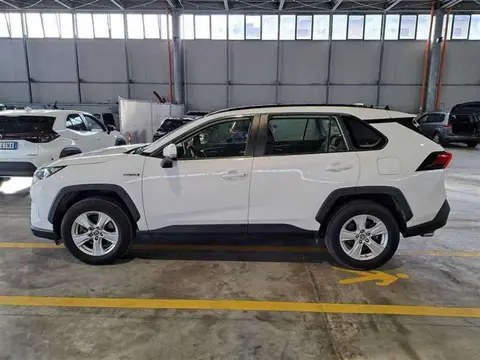 Used TOYOTA RAV4 Hybrid 2020 Ad 