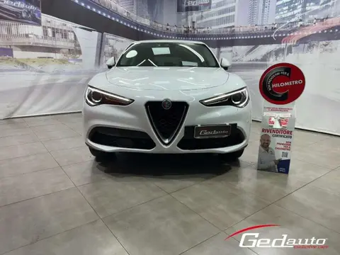 Used ALFA ROMEO STELVIO Diesel 2019 Ad 