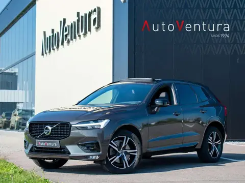 Annonce VOLVO XC60 Hybride 2021 d'occasion 