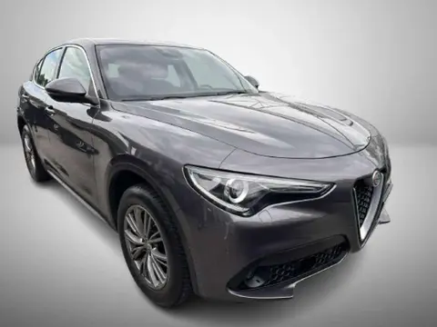 Used ALFA ROMEO STELVIO Diesel 2018 Ad 