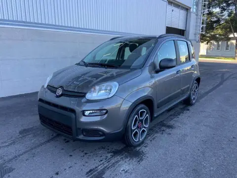 Used FIAT PANDA Hybrid 2022 Ad 