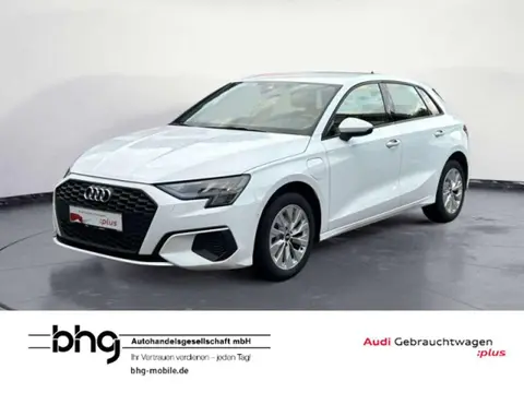 Used AUDI A3 Hybrid 2021 Ad 