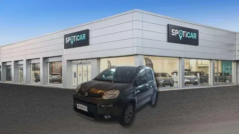 Used FIAT PANDA Petrol 2019 Ad 