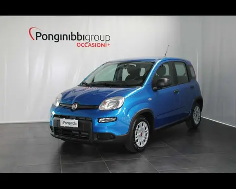 Used FIAT PANDA Hybrid 2024 Ad 