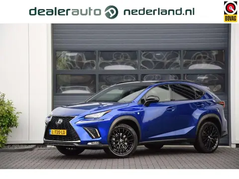 Used LEXUS NX Hybrid 2019 Ad 