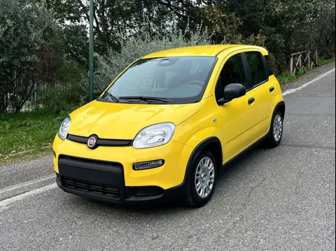 Annonce FIAT PANDA Hybride 2024 d'occasion 