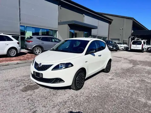 Used LANCIA YPSILON Hybrid 2024 Ad 