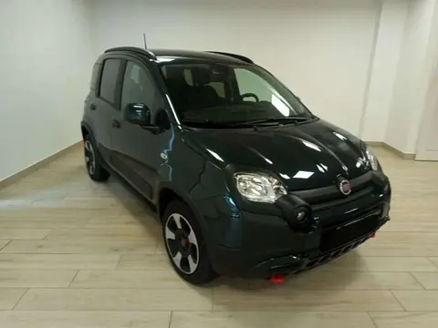 Annonce FIAT PANDA Hybride 2023 d'occasion 