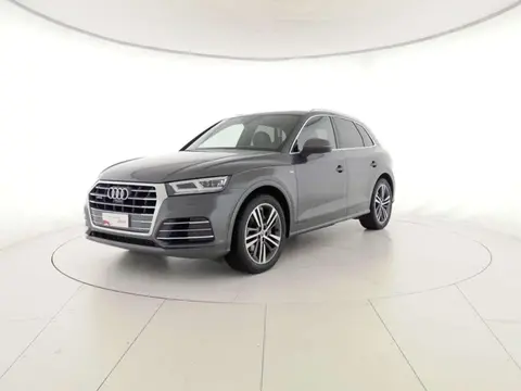 Used AUDI Q5 Diesel 2019 Ad 