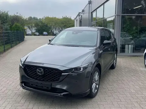 Used MAZDA CX-5 Petrol 2023 Ad 