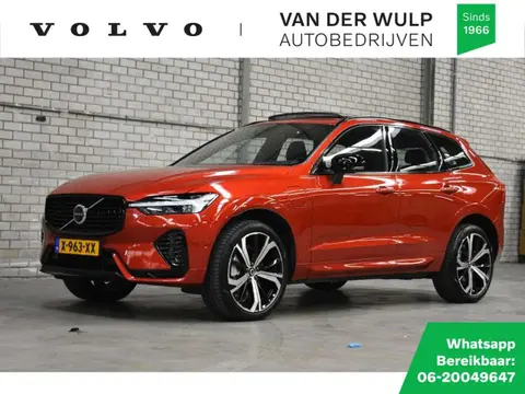 Annonce VOLVO XC60 Hybride 2024 d'occasion 