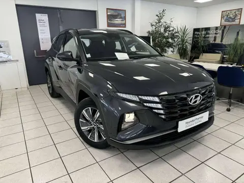 Annonce HYUNDAI TUCSON Diesel 2023 d'occasion 