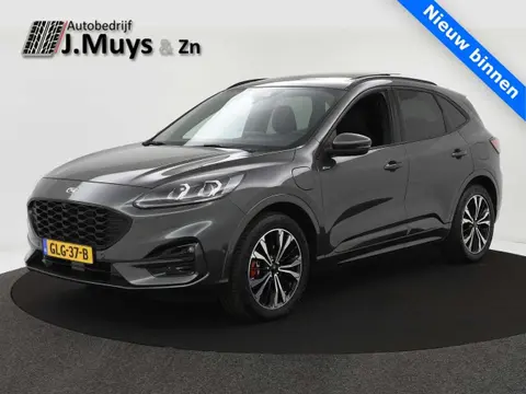 Annonce FORD KUGA Hybride 2021 d'occasion 