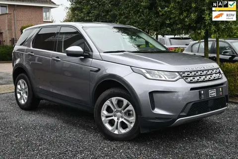 Used LAND ROVER DISCOVERY Hybrid 2021 Ad 