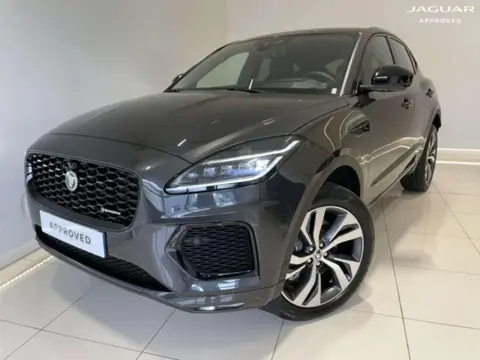 Used JAGUAR E-PACE  2024 Ad 