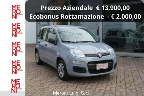 Annonce FIAT PANDA Hybride 2022 d'occasion 