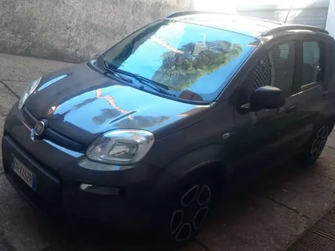 Used FIAT PANDA Hybrid 2022 Ad 