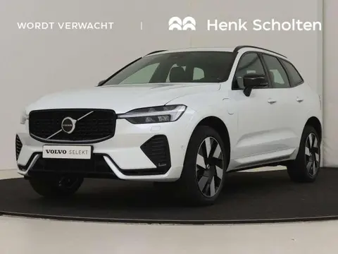 Used VOLVO XC60 Hybrid 2023 Ad 