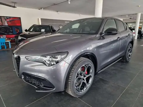 Used ALFA ROMEO STELVIO Petrol 2024 Ad 