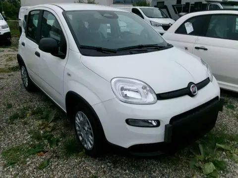 Used FIAT PANDA Petrol 2024 Ad 