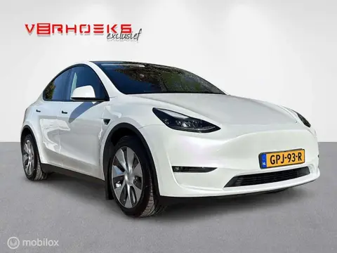 Used TESLA MODEL Y Electric 2023 Ad 