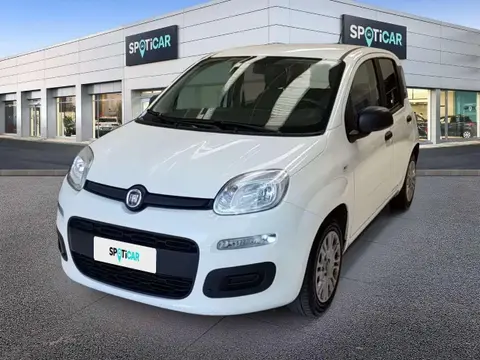 Annonce FIAT PANDA Hybride 2021 d'occasion 