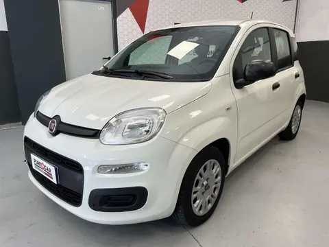 Annonce FIAT PANDA Hybride 2021 d'occasion 