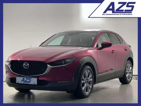 Used MAZDA CX-30 Petrol 2021 Ad 