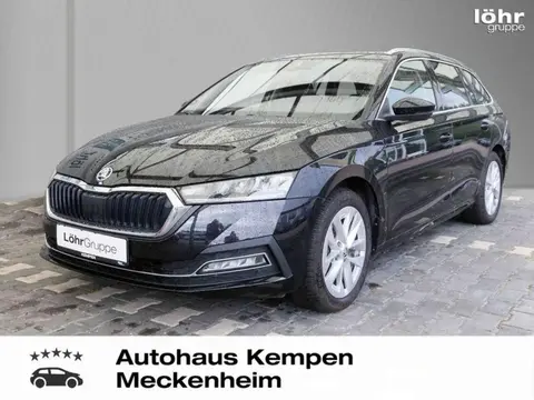 Used SKODA OCTAVIA Petrol 2023 Ad 