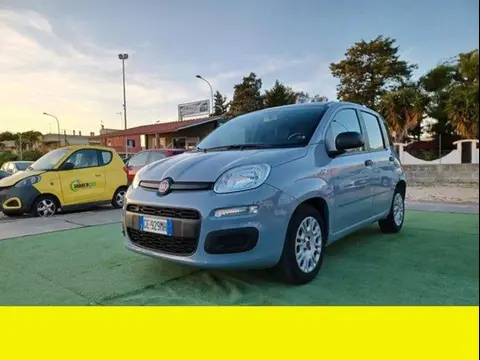 Used FIAT PANDA Petrol 2021 Ad 