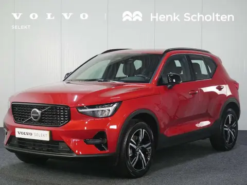 Annonce VOLVO XC40 Hybride 2024 d'occasion 