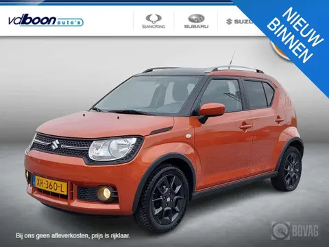 Used SUZUKI IGNIS Petrol 2019 Ad 